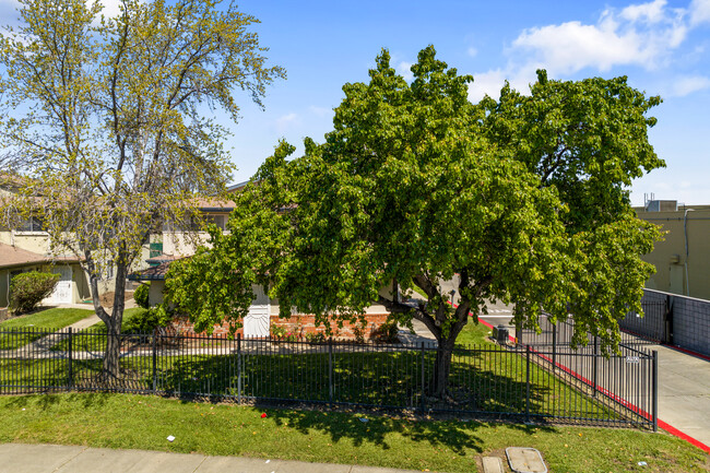 1202 Sycamore Dr in Antioch, CA - Building Photo - Building Photo