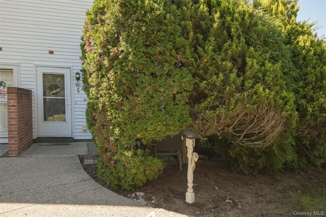 property at 46 The Rise