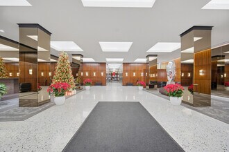 535 N Michigan Ave in Chicago, IL - Building Photo - Building Photo