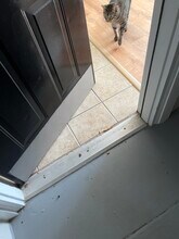 45 Sycamore Ave, Unit King luxury in Charleston, SC - Building Photo - Building Photo