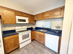 2504 Thicket Greene Ct in Henrico, VA - Building Photo - Building Photo
