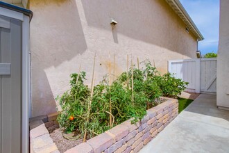 10556 Kemerton Rd in San Diego, CA - Building Photo - Building Photo