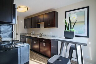 38 W Chestnut St in Chicago, IL - Building Photo