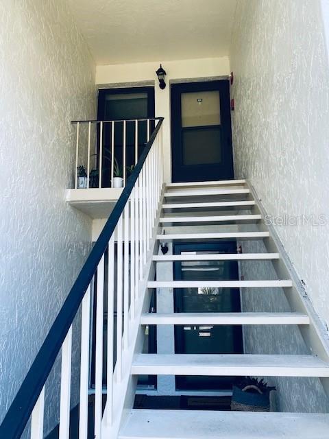 208 Cypress Ct in Oldsmar, FL - Building Photo - Building Photo