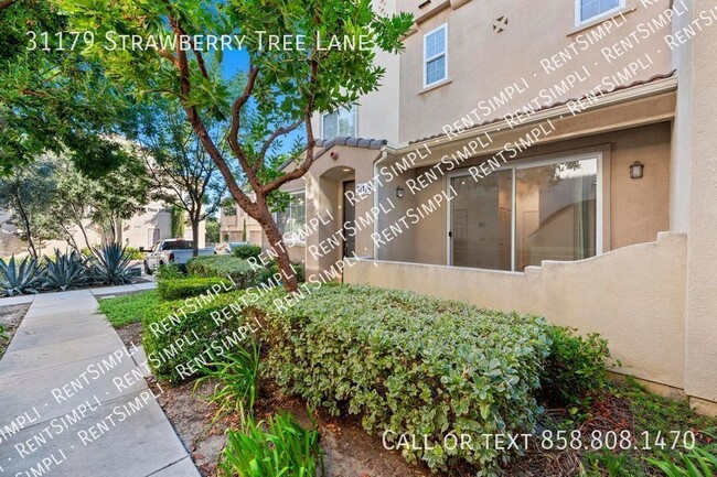 31179 Strawberry Tree Ln in Temecula, CA - Building Photo - Building Photo