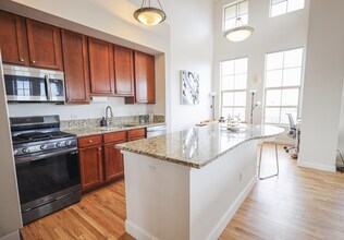 1699 N Downing St in Denver, CO - Building Photo - Building Photo