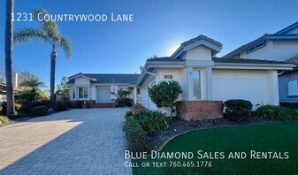 1231 Countrywood Ln in Vista, CA - Building Photo