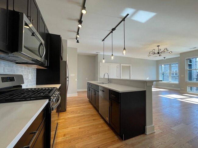 1730 W 18th St in Chicago, IL - Building Photo - Building Photo