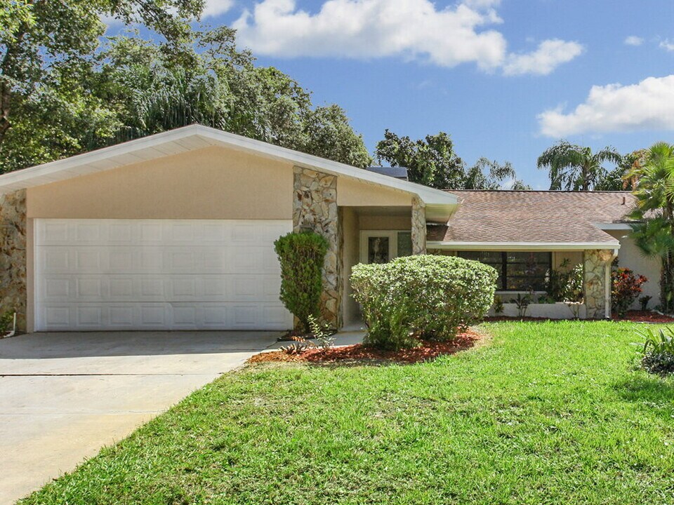 548 Winding Willow Dr in Palm Harbor, FL - Foto de edificio