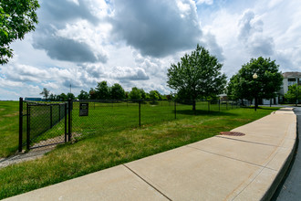 The Reserve at William's Glen in Zionsville, IN - Foto de edificio - Building Photo