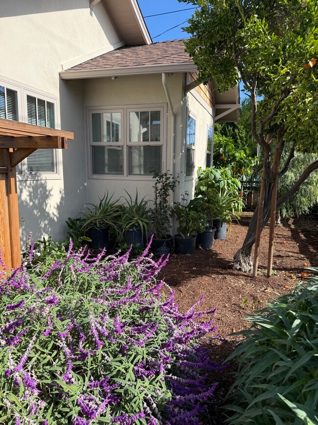 133 Washburn Ave in Santa Cruz, CA - Building Photo - Building Photo