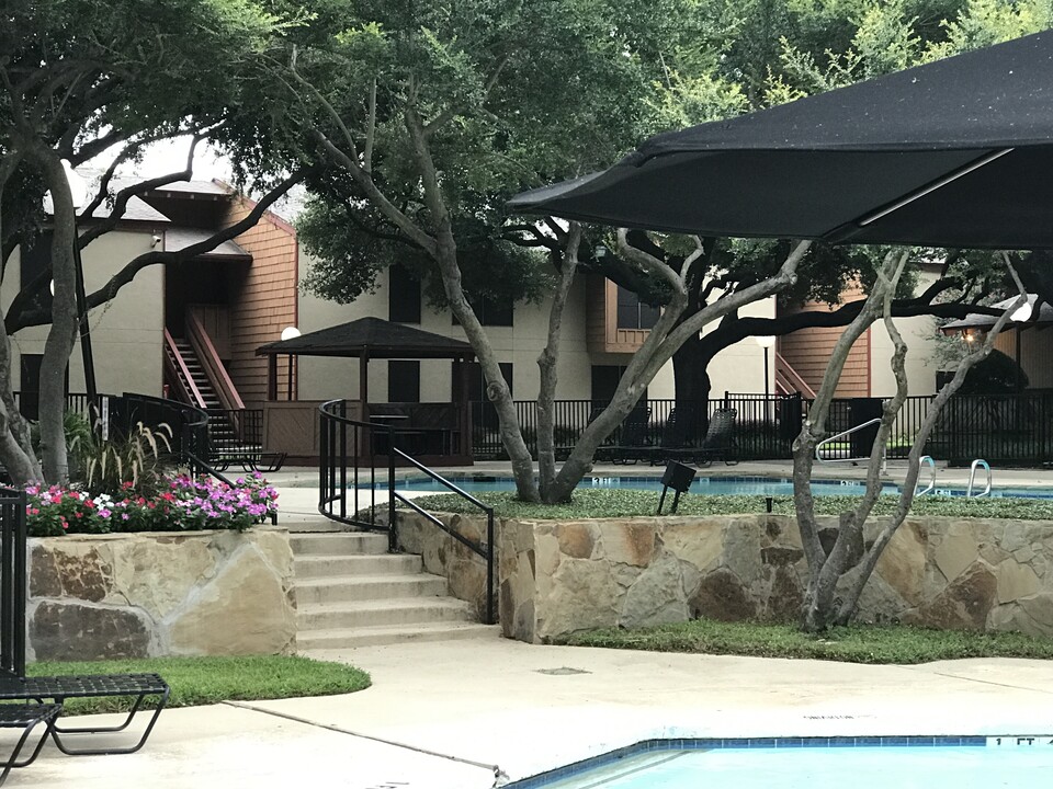 Sun Colony in Dallas, TX - Building Photo