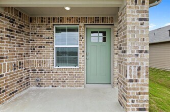 348 Globe Mallow Cir in Kyle, TX - Building Photo - Building Photo