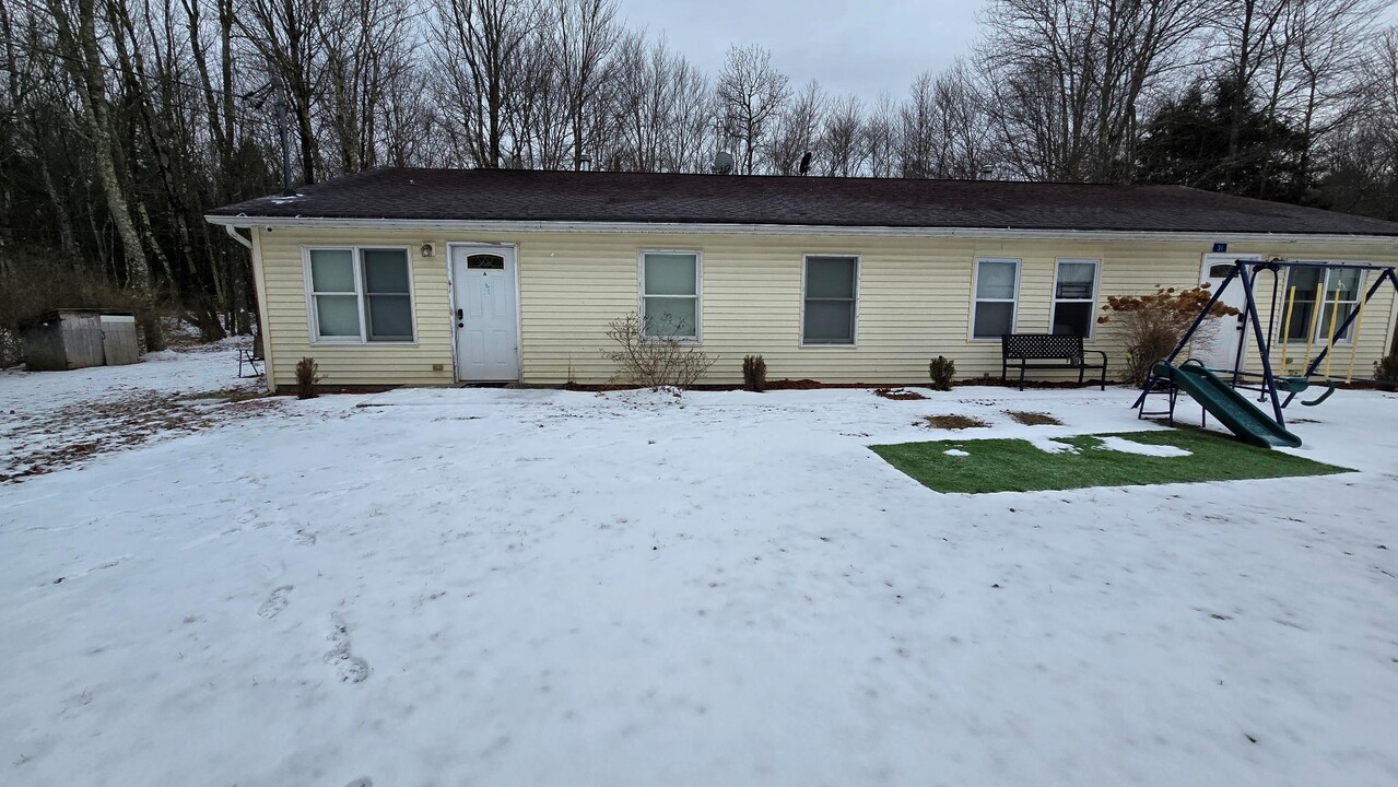 31 Water St in South Fallsburg, NY - Building Photo