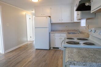 153 Izaak Rd in Madison Heights, VA - Building Photo - Building Photo