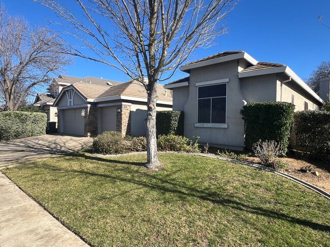 9721 Toscano Dr in Elk Grove, CA - Building Photo - Building Photo