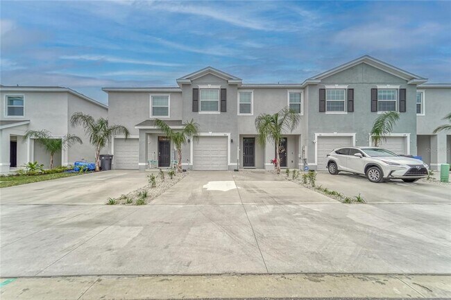 property at 163 Mangrove Shade Cir