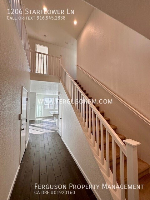 1206 Starflower Ln in Rocklin, CA - Building Photo - Building Photo