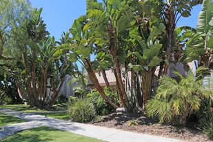 1736-1738 Hornblend St in San Diego, CA - Building Photo