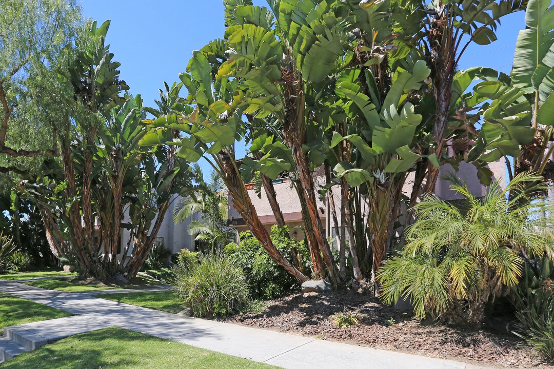 1736-1738 Hornblend St in San Diego, CA - Building Photo