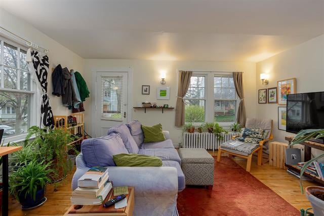 167 Loomis St, Unit 1 in Burlington, VT - Building Photo - Building Photo