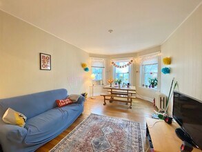 170 Thorndike St, Unit 1 in Brookline, MA - Building Photo - Building Photo