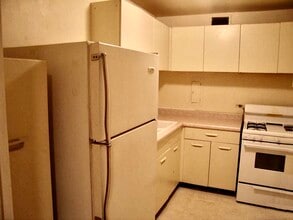 1451 E 55th St in Chicago, IL - Building Photo - Building Photo