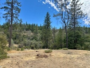 14606 Pat Ct in Grass Valley, CA - Building Photo - Building Photo