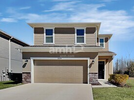 20224 Calla Lily Dr in Land O Lakes, FL - Building Photo