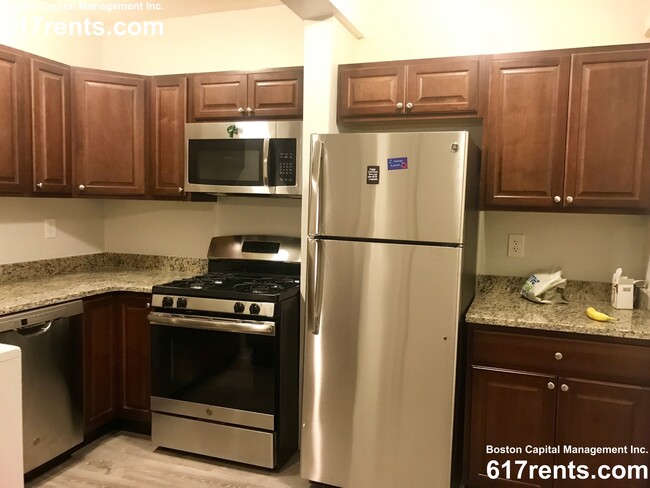 97 Chester St, Unit S2 in Boston, MA - Building Photo - Building Photo