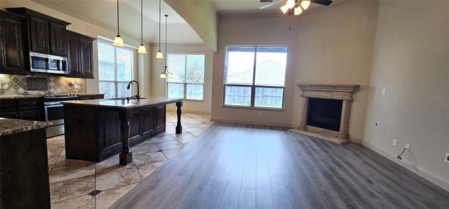 944 Lake Meadow Ln in Little Elm, TX - Building Photo - Building Photo