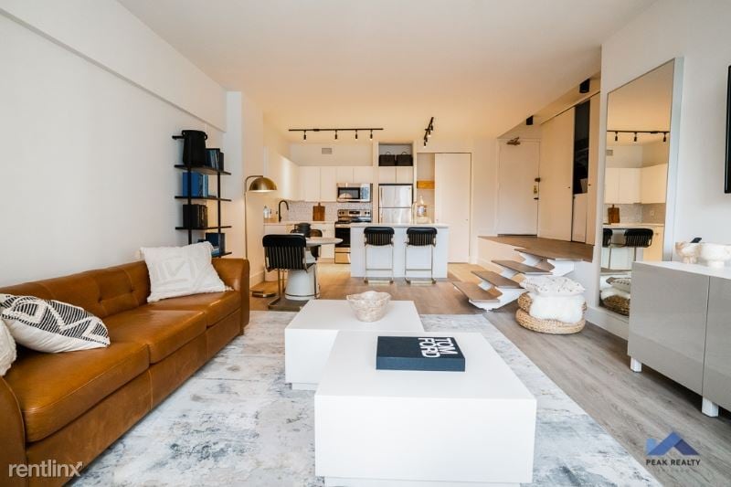 21 E Chestnut St in Chicago, IL - Building Photo