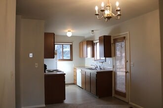 4000 Windom St in Fort Collins, CO - Building Photo - Building Photo
