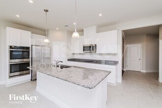 10572 Gliding Eagle Wy in Land O Lakes, FL - Building Photo - Building Photo