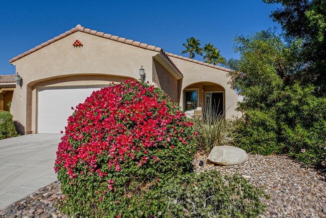 property at 81654 Avenida Alturas