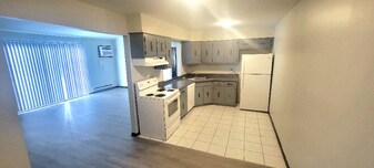 1023 Shagbark Ct in New Lenox, IL - Building Photo