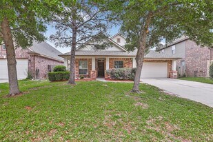13810 Birney Point Ln in Houston, TX - Building Photo