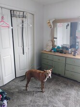 2009 S 11th St in Rogers, AR - Foto de edificio - Building Photo