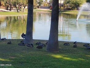 1848 E Chilton Dr in Tempe, AZ - Building Photo - Building Photo