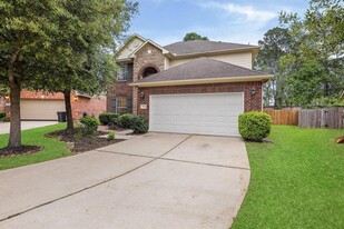 25634 Saddlebrook Village Dr