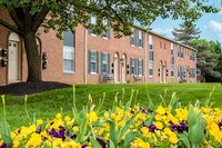 Rushwood Apartments photo'