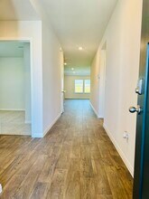 650 Gladiola Loop in Kyle, TX - Building Photo - Building Photo