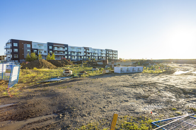 Dwell Townhomes in Calgary, AB - Building Photo - Building Photo