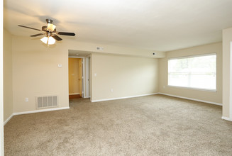 Honeytree Apartments in Raleigh, NC - Building Photo - Interior Photo