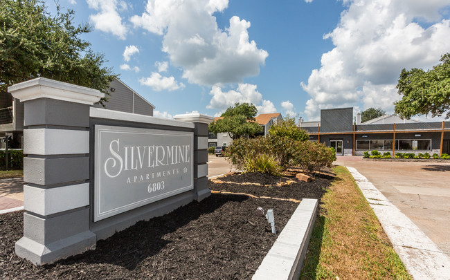 Silvermine in Victoria, TX - Foto de edificio - Building Photo