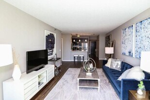 355e E Ohio St in Chicago, IL - Building Photo