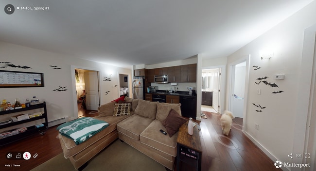 16 E Springfield St, Unit 1