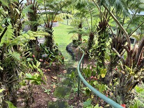 15-1810-1810 Akeakamai Loop in Pahoa, HI - Building Photo - Building Photo