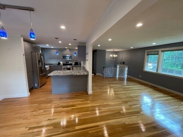 17 Ridley Rd in Dedham, MA - Building Photo