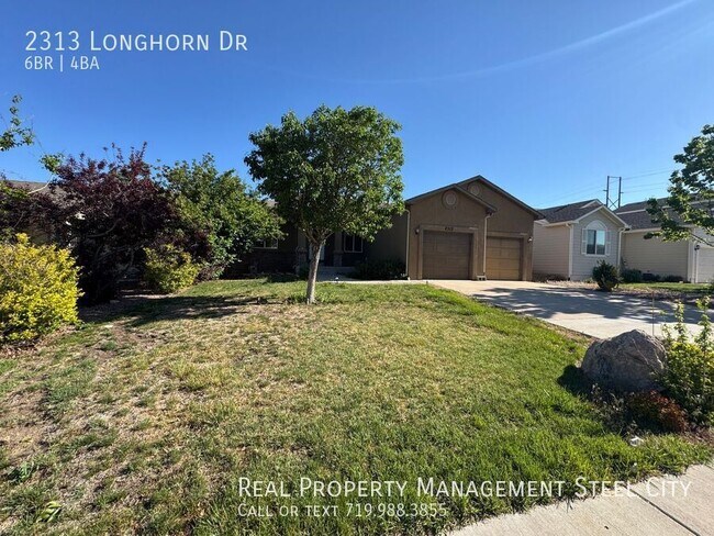 property at 2313 Longhorn Dr